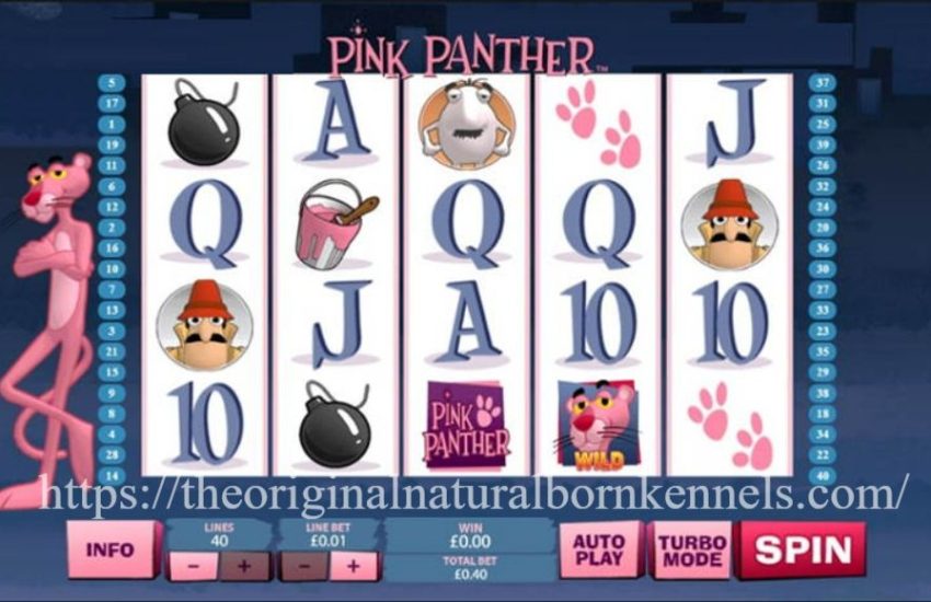 https://theoriginalnaturalbornkennels.com/